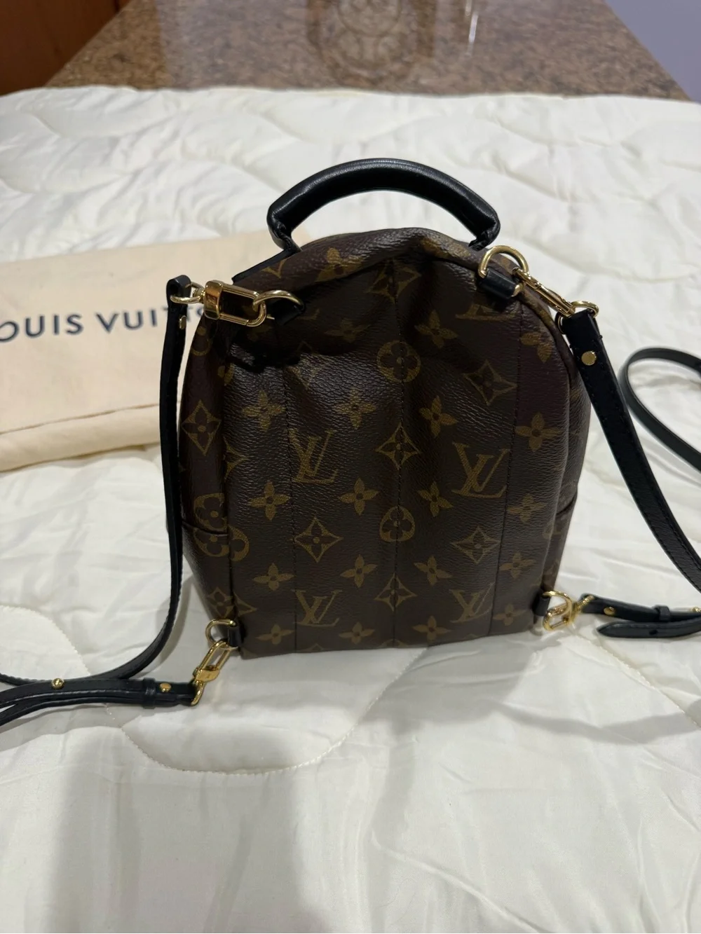 Louis Vuitton palm spring mini